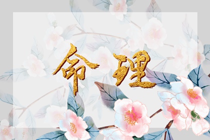 最准确的万年历老黄历,日梭万年历,手机万年历